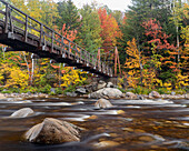 USA, New Hampshire, Lincoln. White Mountain National Forest, Lincoln Woods Trailhead, Kancamagus Scenic Byway, Bäume mit buntem Laub im Herbst und Hängebrücke über den Pemigewasset River.