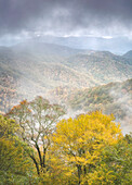 USA, North Carolina, Great Smoky Mountains National Park. Fog and autumn color from Deep Creek Overlook