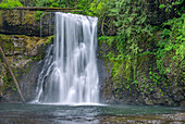 USA, Oregon, Silver Falls State Park. Spring flow of North Fork Silver Creek plunges 65 feet at Upper North Falls.