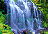 Spring-time fresh water flowing over moss carpeted rocks Proxy Falls in Oregon's central Cascade Mountains.