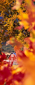 Herbstfarben und Scheune im östlichen Oregon.