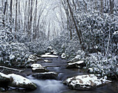 USA, Tennessee. Great-Smokey-Mountains-Nationalpark. Cosby Creek im Winter (Mittelformat)