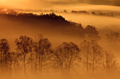 USA, Tennessee. Morgennebel in den Smoky Mountains.