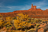 Pappel in Herbstfarben und Denkmäler, Tal der Götter, Utah