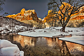 Zion in winter.