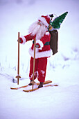 USA, Washington, Bellingham. Toy Santa Claus on skis and snow