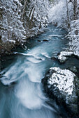 USA; Washington; Olympic National Park. View of the Hamma Hamma River in winter