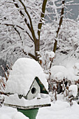 USA, Washington, Seabeck. Close-up of bird house covered in snow