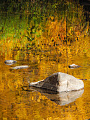 USA, Washington State, Cle Elum, Kittitas County. Fall colors reflecting in a pond.