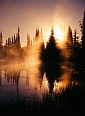 USA, Washington State, Mount Rainier National Park, View of reflection lake covered with fog at dawn