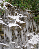 USA, West Virginia, Blackwater Falls. Ice on cliff and rocks