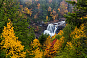 Blackwater Falls in autumn in Blackwater Falls State Park in Davis, West Virginia, USA