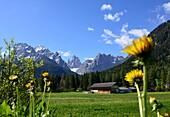 Landschaft unter dem Zwölferkogel, Sextental, Südtirol, Italien