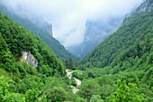 In der Rugova-Schlucht, Nordalbanische Alpen bei Peja, West-Kosovo