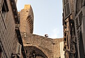 Stadtmauer um die Altstadt von Dubrovnik, Süd-Dalmatien, Kroatische Adriaküste, Kroatien