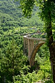 the bridge over the Tara Gorge, Montenegro