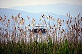 on the shore of Lake Ohrid, North Macedonia