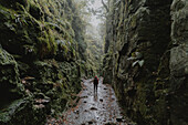 Woman hiking between wet, rugged rock walls in forest, The Roaches, Derbyshire, England