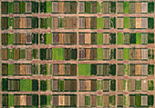 Aerial drone POV green and brown crops forming pattern