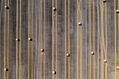 Aerial drone POV rolled hay bales in striped brown field