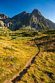 Impressions of a hike in summer between mountain lakes on the Plateau des Lacs, Isère, Rhône Alpes, France