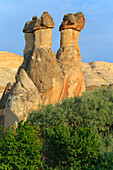Turkey, Anatolia, Cappadocia, Goreme. 'Fairy Chimneys' or rock formations and field landscapes in the Red Valley, (referred as 'Love Valley') Goreme National Park, UNESCO World Heritage Site.