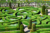 Gartendetail, Chateau de Villandry, Villandry, Loiretal, Frankreich