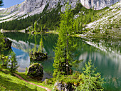 Lago de Federa at Croda da Lago in the Dolomites of the Veneto near Cortina d'Ampezzo. Part of the UNESCO World Heritage Site, Italy.