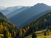 Val d'Algone. Dolomiti di Brenta, part of UNESCO World Heritage Site. Italy, Trentino.