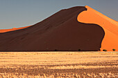 Afrika, Namibia, Namib-Wüste, Namib-Naukluft-Nationalpark, Sossusvlei. Abendlicht auf den roten Dünen.