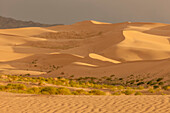 Sand Dunes at Sunset. Gobi Desert. Mongolia.