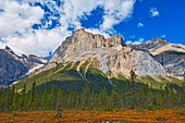 Canada, Alberta, Yoho National Park. The President Range mountain landscape