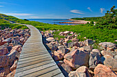 Canada, Nova Scotia, Cape Breton Island. Wooden walkway along rocky shoreline
