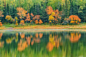 Canada, Ontario, Kenora District. Forest autumn colors reflect on Middle Lake
