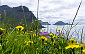 Coast Near Gasadalur. Island Vagar, Part Of The Faroe Islands In The North Atlantic. Denmark