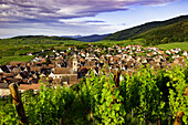 Early morning view over Riquewihr, Alsace, France