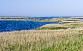 Landschaft mit Lagunen am Darßer Ort auf der Halbinsel Darß. Nationalpark Vorpommersche Boddenlandschaft, Deutschland