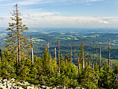 Blick vom Gipfel des Mt. Lusen im Nationalpark Bayerischer Wald (NP Bayerischer Wald). Europa, Deutschland, Bayern