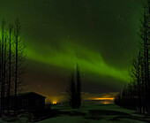 Nordlichter oder Aurora Borealis über Laugardalur im Winter in Island.