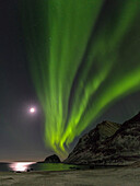 Nordlichter über Haukland Beach, Insel Vestvagoy. Die Lofoten im Norden Norwegens im Winter. Skandinavien, Norwegen