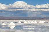 Bolivia, Uyuni, Salar de Uyuni. Cones of salt have been scraped up so that the salt will dry before being harvested.