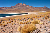 Chile, Antofagasta Region, Miniques, Lake Miscanti. Lake Miscanti is a brackish lake which is deep blue and is in Los Flamencos National Reserve.