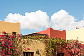 Mexiko, Baja California Sur, Loreto Bay. Golf Resort und Spa-Gebäude mit Bougainvillea und Wolken