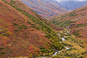 USA, Alaska, Brookskette. Tundra in Herbstfarben