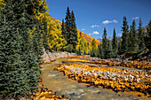 Verrostete rote Felsen am Ironton Creek mit Espenbäumen im goldenen Herbst und Evergreens, Geisterstadt Ironton, Colorado
