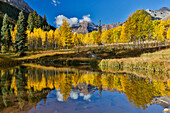 Sunrise, Maroon Bells autumn colors on aspens with pond reflection.