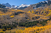USA, Colorado. White River National Forest, Aspen und immergrüner Wald im Herbst unterhalb des Capitol Peak (oben links) mit Neuschnee auf den Gipfeln.
