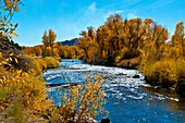USA, New Mexico, malerische Herbstlandschaft am State Highway 17 und Rio Chama River zwischen Chama und Antonito