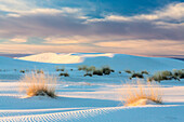 USA, New Mexico, White-Sands-Nationalpark. Sanddünen und trockene Gräser bei Sonnenaufgang