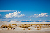 USA, New Mexiko. White Sands National Monument Landschaft aus Busch, Sand und Bergen
